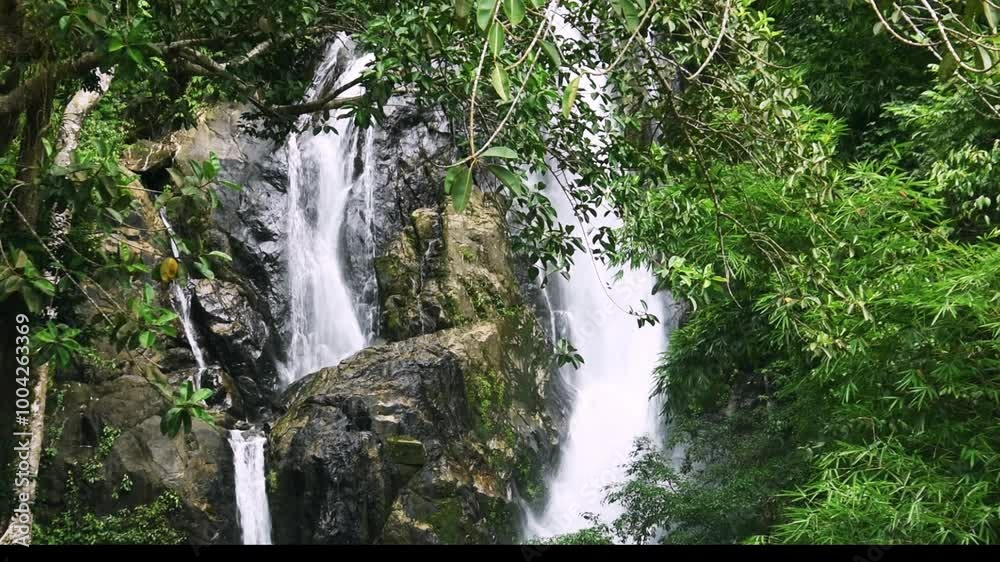 custom made wallpaper toronto digitalScenic waterfall in Thailand tropical rainforest, Beautiful nature background.