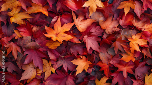 Autumn leaves background 