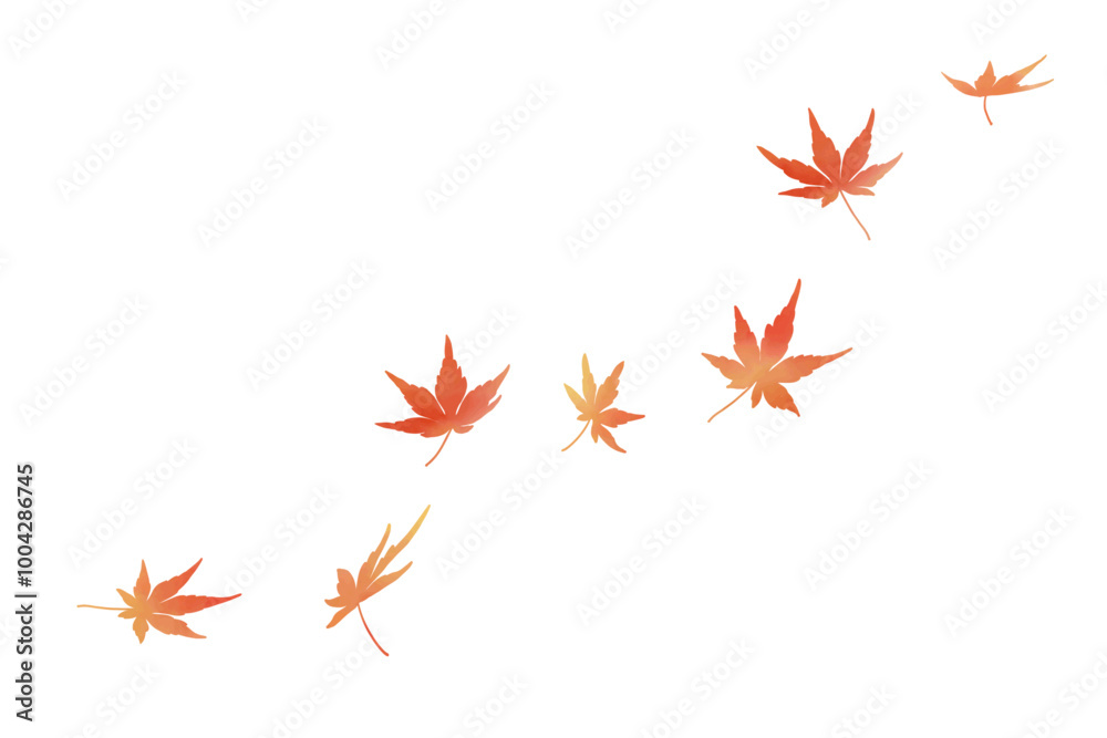 舞う紅葉　水彩　赤