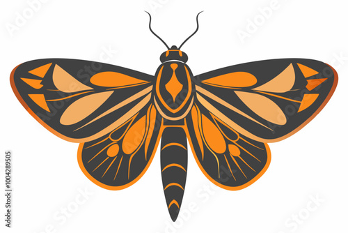 Moth silhuette vector on white background