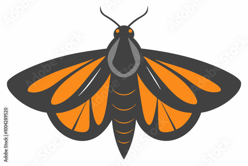  Moth silhuette vector on white background