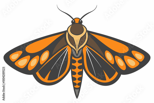  Moth silhuette vector on white background