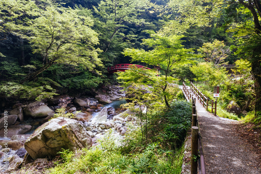 Ryujin Falls in Nakatsugawa City Japan Ryujin Falls in Nakatsugawa City Japan
