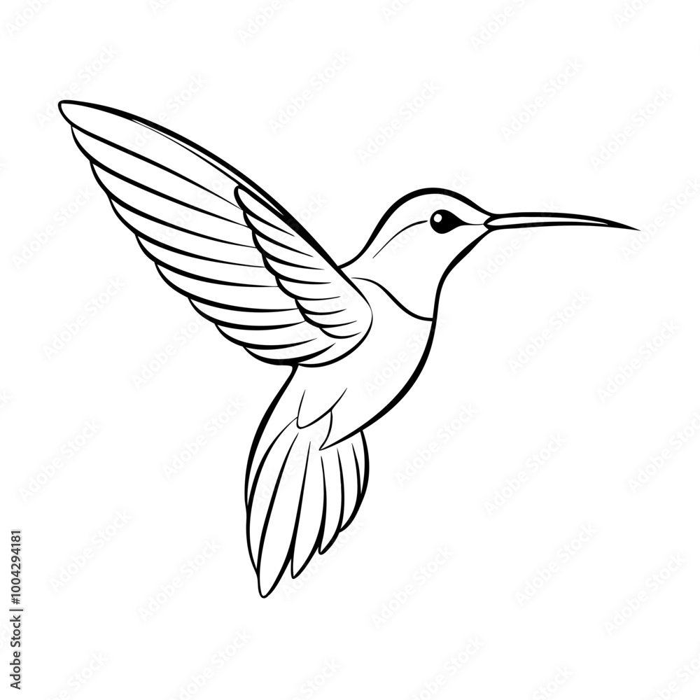 Hummingbird icon in black and white line art style, simple vector Hummingbird icon in black and white line art style, simple vector