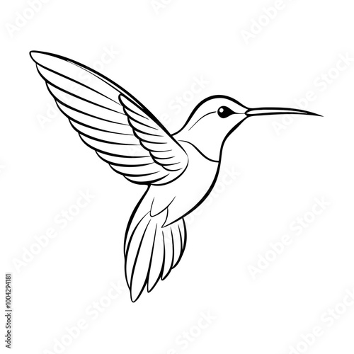 Hummingbird icon in black and white line art style, simple vector