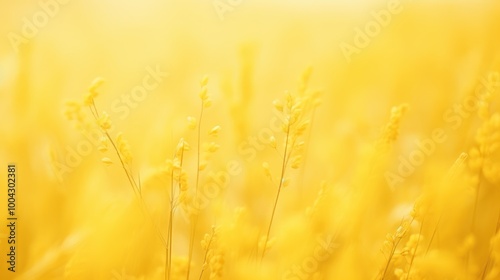 Vibrant Yellow Wildflowers in Sunlit Field. Nature Background with Golden Light. Bokeh Effect. Warm Wallpaper