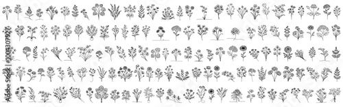 wild plants and wild flowers, large collection of hand drawn flowers in monoline doodle style