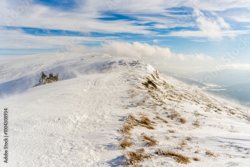 Fototapeta Naklejka Na Ścianę i Meble -  Winter Ascent on Połonina Caryńska