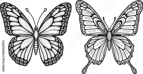 Admiral Butterfly with intricate patterns. Vector coloring page set