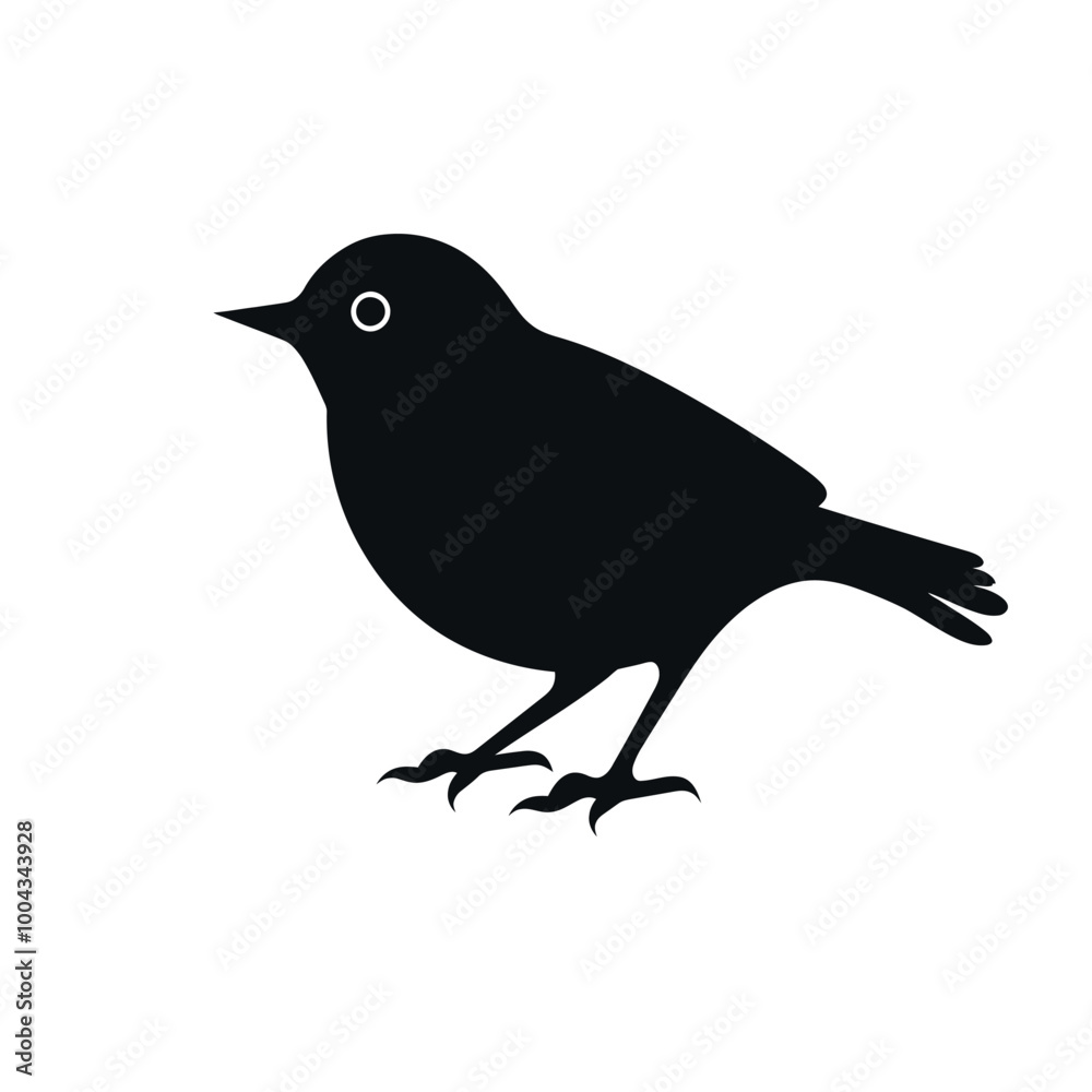 Obraz premium black silhouette of a robin bird