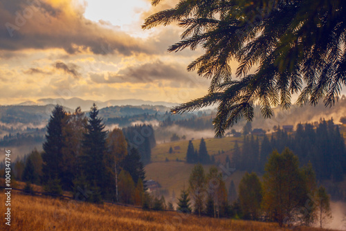 Sunrise misty morning taken in Carpathian mountains, Ukraine photo