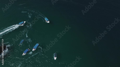 Mexico, Bajacalifornia photo