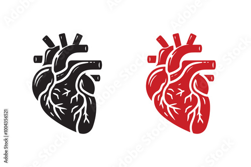 Human Cardiac Muscle Art and Graphics silhouette Illustration