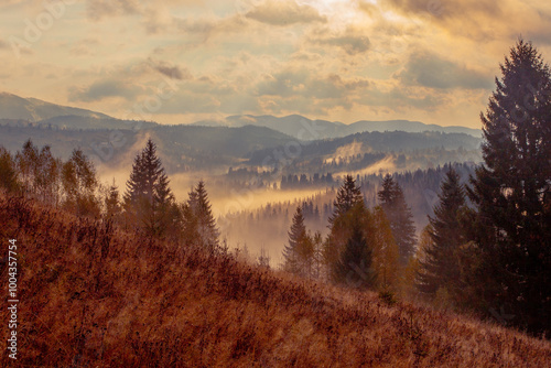 Sunrise misty morning taken in Carpathian mountains, Ukraine photo