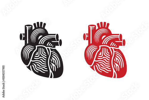 Human Cardiac Muscle Art and Graphics silhouette Illustration