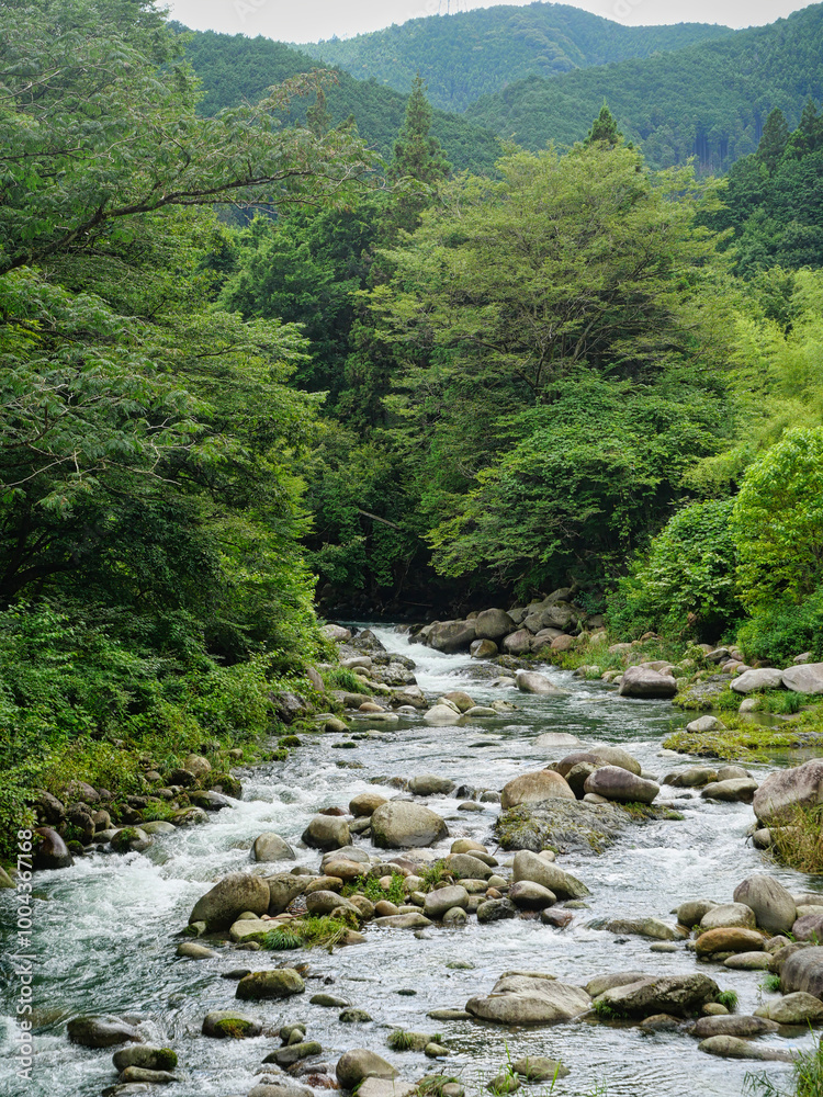 渓流 渓流