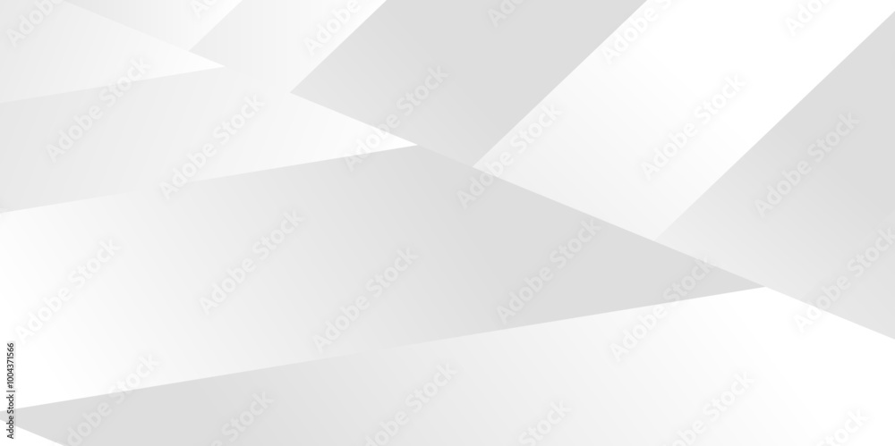 Obraz premium Elegant abstract background with grey lines with shadow, Abstract gray and white background. Geometric background with diagonal stripes design, Vector illustration .