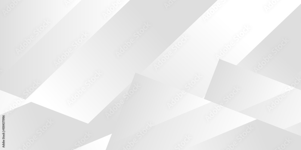 Obraz premium Elegant abstract background with grey lines with shadow, Abstract gray and white background. Geometric background with diagonal stripes design, Vector illustration .