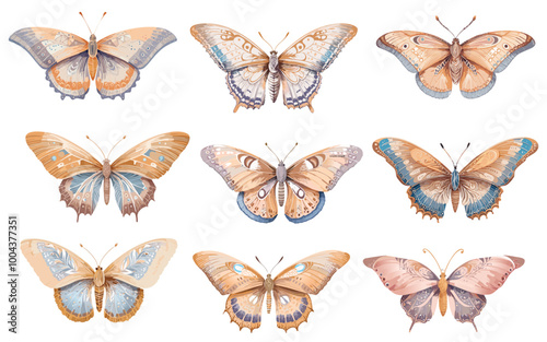 hand drawn butterfly vector illustration template