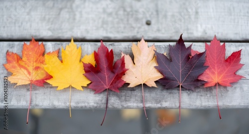 Colorful Autumn Leaves Lying on Weathered Wooden Planks in a Serene Setting