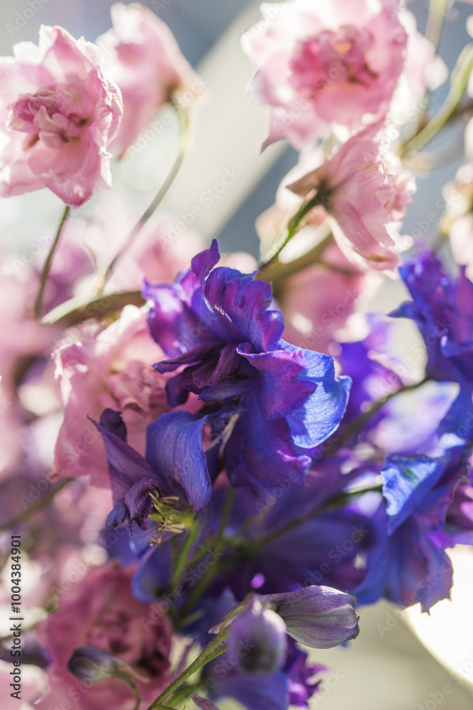 Obraz premium Beautiful bouquet of different colored defylphiniums close-up