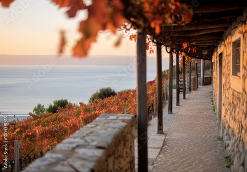 Scenic Coastal Pathway With Vines at Sunset in Autumn