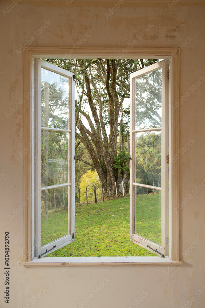 Open window with a view of a lush green tree and lawn outside a rural house, Auckland, New Zealand Open window with a view of a lush green tree and lawn outside a rural house, Auckland, New Zealand