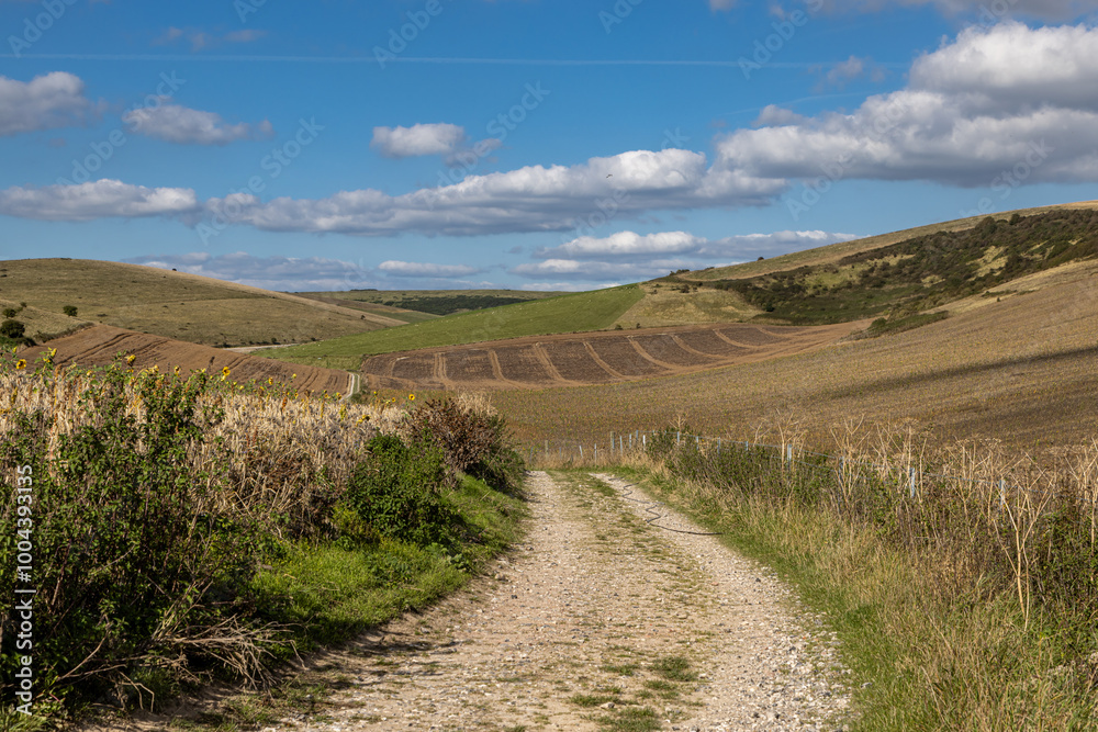 A pathway in the South Downs on a sunny autumn day A pathway in the South Downs on a sunny autumn day