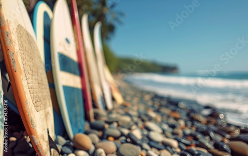Colorful Surfboards Leaned Against Each Other on a Rocky Beach During Sunny Day
