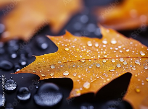 Autumn leaves covered in dew on a dark surface in a serene morning setting