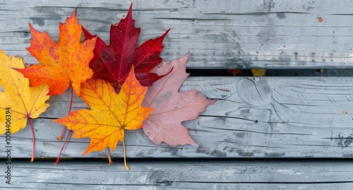 Colorful Autumn Leaves Lying on Weathered Wooden Planks in a Serene Setting