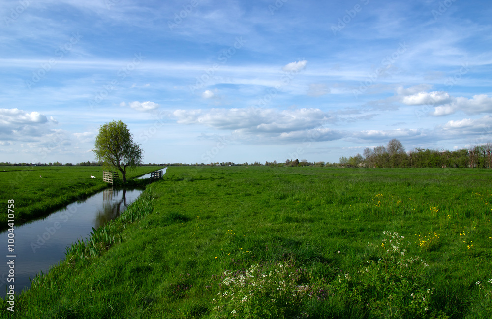 Obraz premium Landscape green meadow and canal with clear water