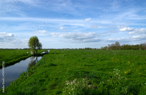 Fototapeta Naklejka Na Ścianę i Meble -  Landscape green meadow and canal with clear water