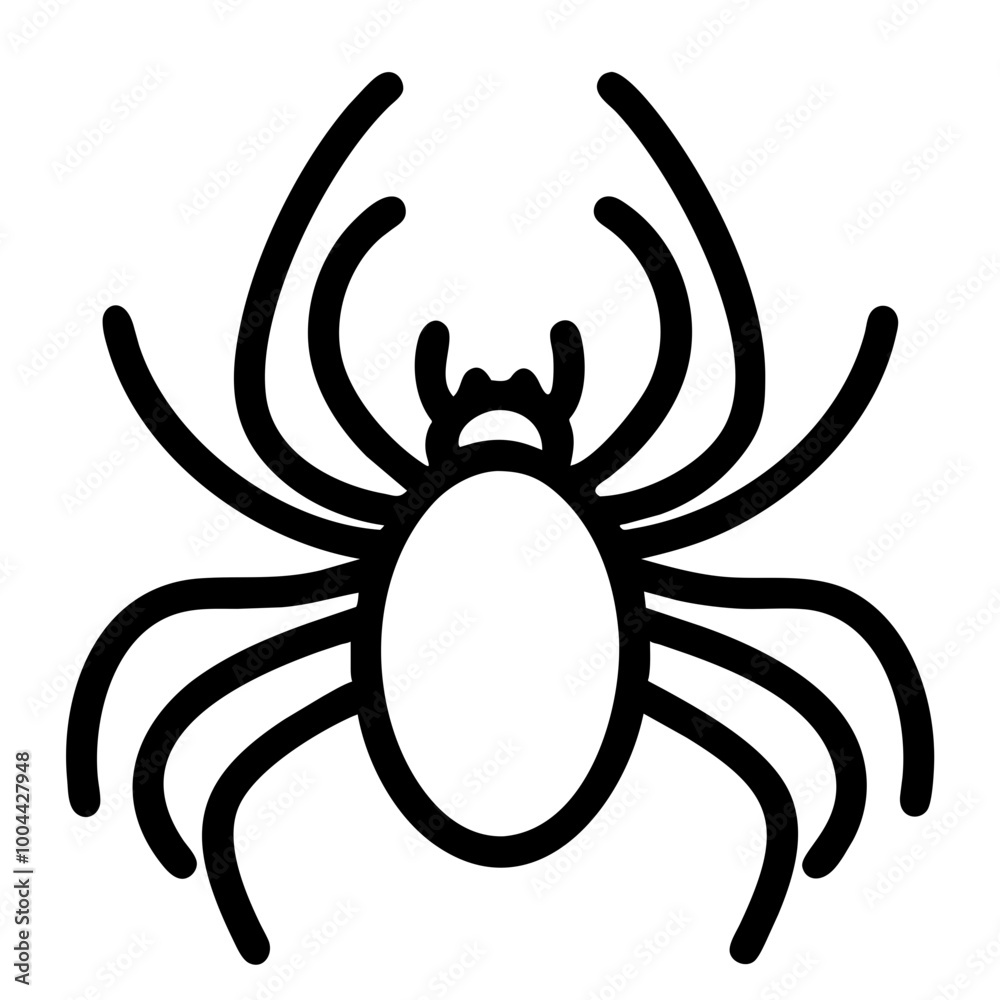 Spider Spider