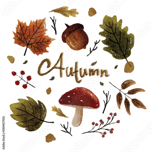 Autumn is a season of change and transition. The leaves on the trees are changing colors, and the air is crisp and cool. The mushrooms are starting to grow, and the berries are ripe