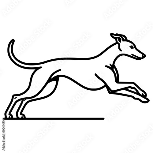  Outline Illustration of a Sighthound Dog Running | Whippet, Greyhound, Italian Greyhound, Lurcher