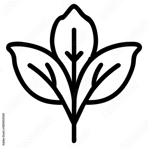 arugula