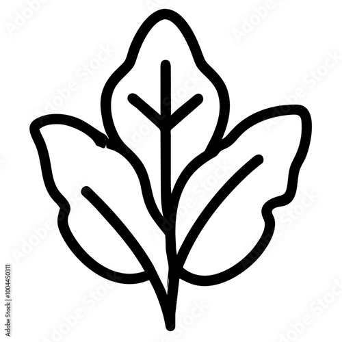 arugula