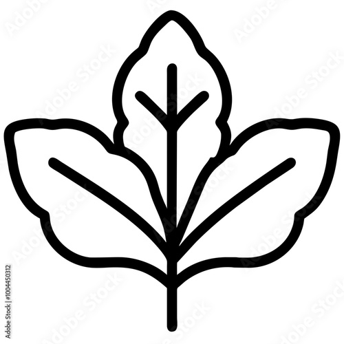 arugula