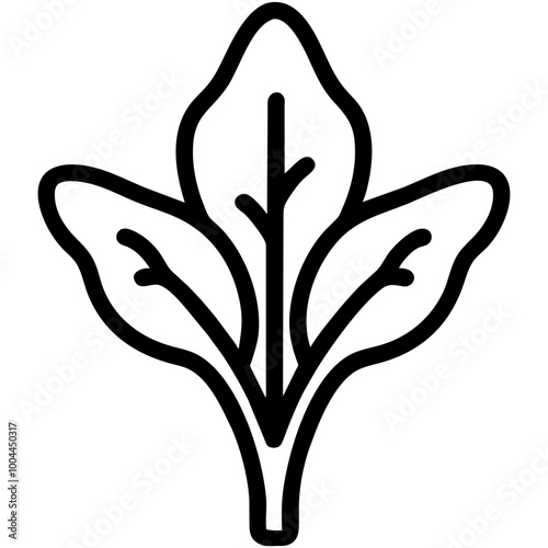 arugula