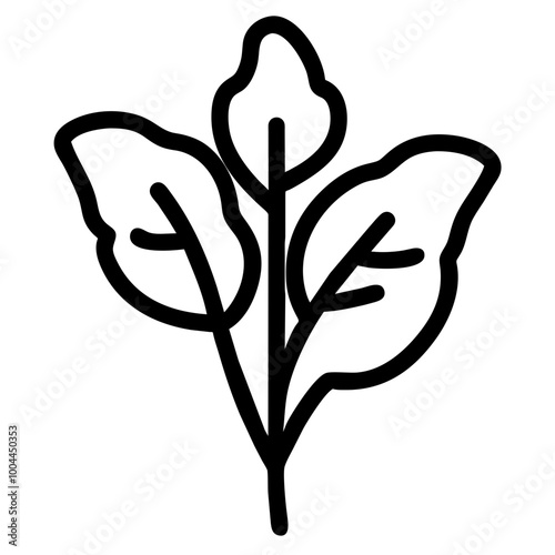 arugula