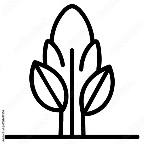 asparagus