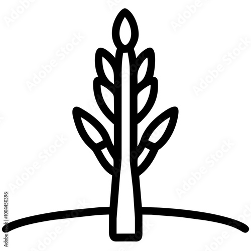 asparagus