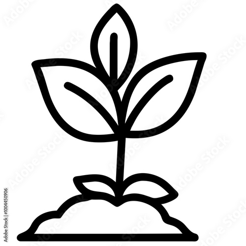 basil nature