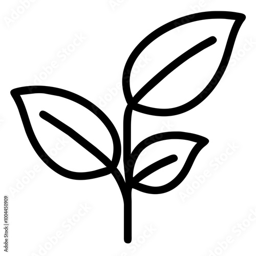 basil nature