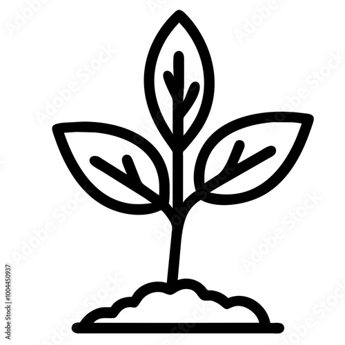basil nature