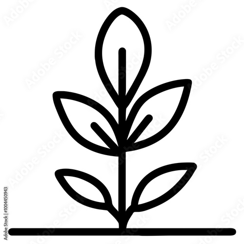 basil nature