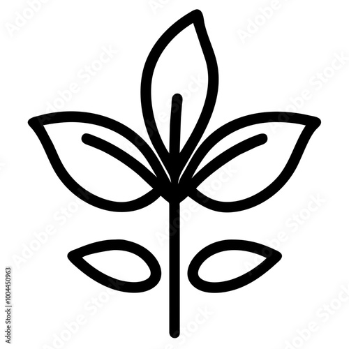 basil nature