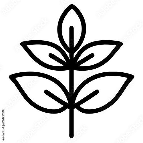 basil nature