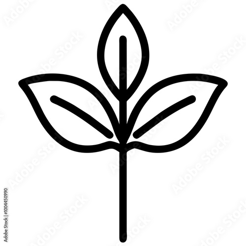basil nature
